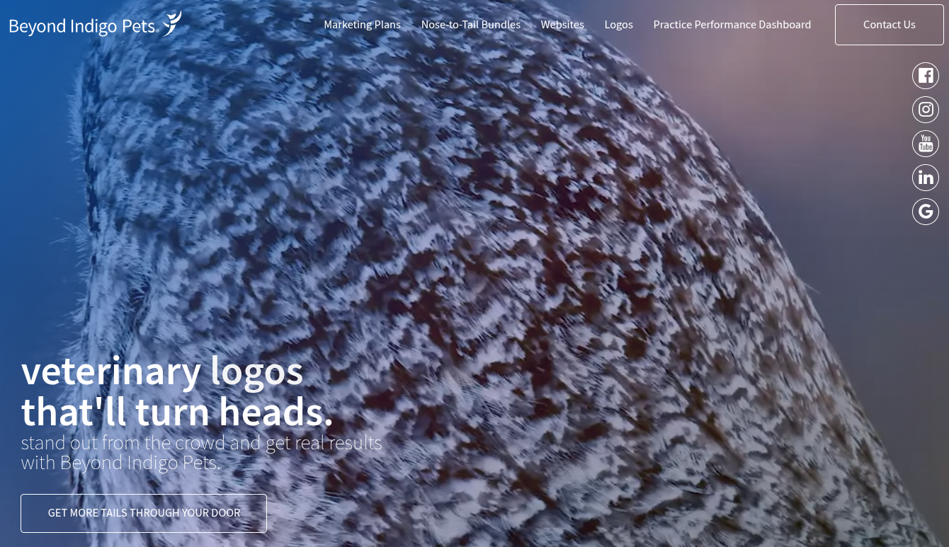 ```json
{
  "alt": "Close-up of an owl's feathers with text promoting veterinary logos by Beyond Indigo Pets.",
  "caption": "Captivating veterinary logos by Beyond Indigo Pets: Stand out in the animal care industry with unique designs that turn heads.",
  "description": "The image features a close-up view of an owl's intricately patterned feathers, serving as a backdrop. Superimposed text promotes 'veterinary logos that'll turn heads,' encouraging viewers to stand out using Beyond Indigo Pets' design services. The website's navigation is visible, with social media icons for easy access. Perfect for businesses in the animal care sector seeking impactful visual branding."
}
```